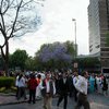 У берегов США и Мексики произошло сильное землетрясение