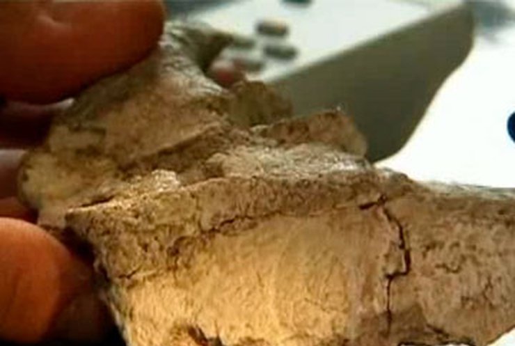 В Аргентине ученые нашли останки динозавра, неизвестного науке