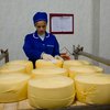 Онищенко не исключает скорого решения "сырной проблемы" с Украиной