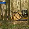 В Германии начинаются поиски легендарной янтарной комнаты