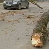 В Крыму накануне бушевала стихия