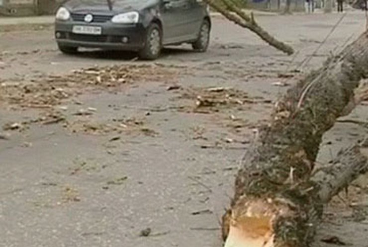 В Крыму накануне бушевала стихия