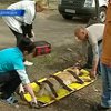В Донецке появился реанимационный автомобиль для бездомных животных