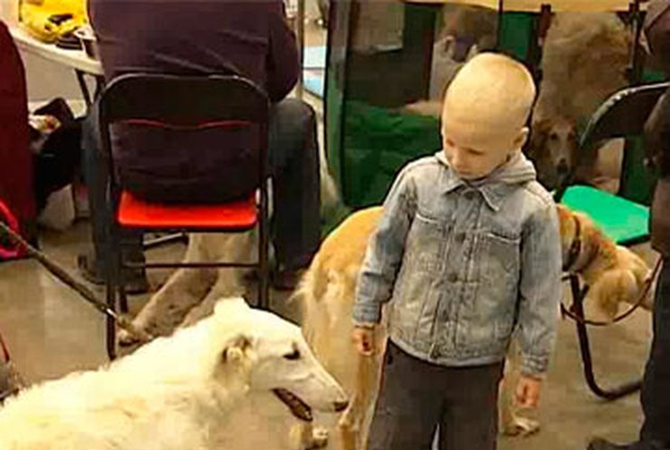 В Украине проходят крупнейшие выставки собак