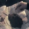 В Донецкой области задержали троих торговцев марихуаной