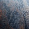 Арестован инженер BP, скрывавший данные об утечке нефти в Мексиканский залив