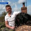 Британец приучил пса к жизни на крыше