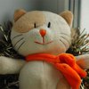 В России плюшевый кот будет баллотироваться в мэры