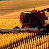 Эксперты похвалили МинАП за прагматичную аграрную политику