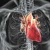 Американские медики полностью восстановили сердце после инфаркта