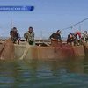 Азовским рыбакам запретили рыбачить в местах гнездовья редких птиц