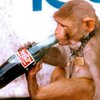 Сегодня Coca-Cola празднует 126-летие