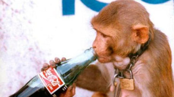 Сегодня Coca-Cola празднует 126-летие