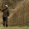 Тысячи корейцев покидают Сеул ради жизни на природе
