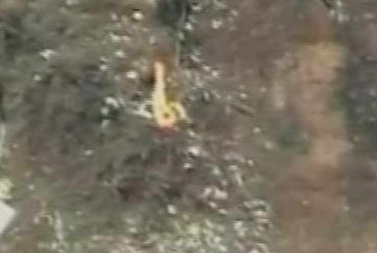 На месте крушения самолета "Суперджет" начали находить тела погибших