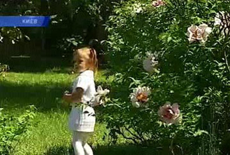 Народный синоптик рассказал, какое лето ждет украинцев