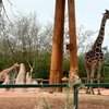 В американском зоопарке научились перерабатывать мусор в энергию