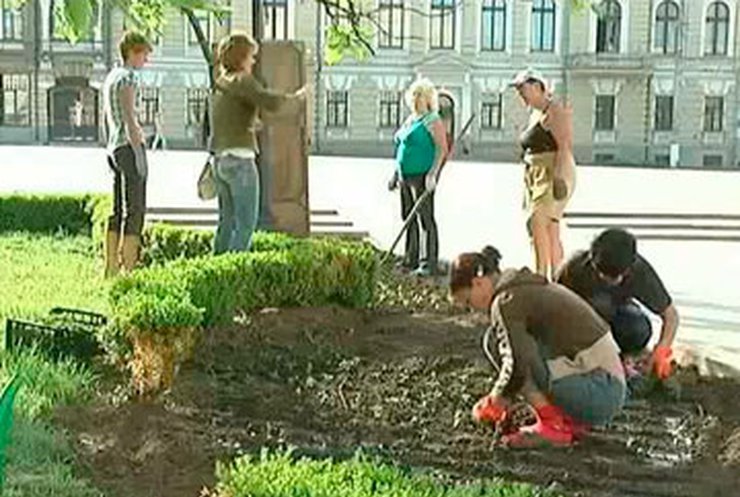 Жители Кировограда установят цветочный рекорд