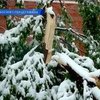 Балканы завалило снегом