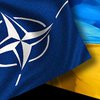 Лишь 15% граждан Украины хотят в НАТО – опрос