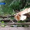 По Западной Украине прошел ураган