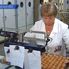 Кабмин утвердил международные стандарты качества продуктов