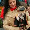 В Ивано-Франковске организовали показ мод собачьих одежд