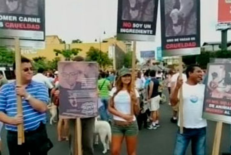 В Коста-Рике прошел парад против издевательства над животными