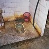 В общественных туалетах Пекина установили квоту на мух