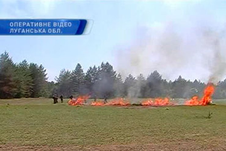 В Луганской области прошли учения пожарников