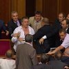Рада приступила к рассмотрению закона о языковой политике