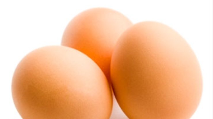 Куриные яйца улучшают концентрацию внимания