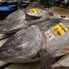 Ученые обнаружили возле Калифорнии рыбу зараженную радиацией с "Фукусима-1"