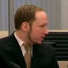 Брейвик выпил специальный коктейль перед терактами