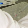 "Подробности" выясняли, когда в Украине появится ГМО-хлеб