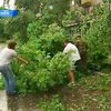 В Киеве после дождя со шквальным ветром в больницу попали 5 человек