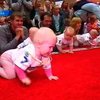 В Литве прошло соревнование по ползанию малышей