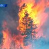 В Колорадо горит лес