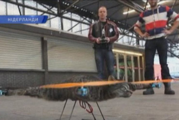 Голландский художник соорудил вертолет из тела своего кота