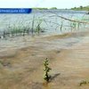 Из-за угрозы наводнений на Буковине на треть спустили водоемы