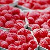 ДУСя отрицает закупку малины по 672 гривны