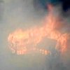 Штат Колорадо охвачен лесными пожарами