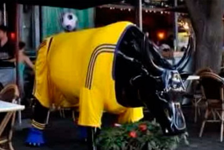 Одесская корова Ромина надела футбольную форму