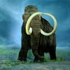 Ученые: Люди не виноваты в гибели мамонтов