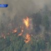 В американских штатах Нью-Мехико и Колорадо бушуют лесные пожары