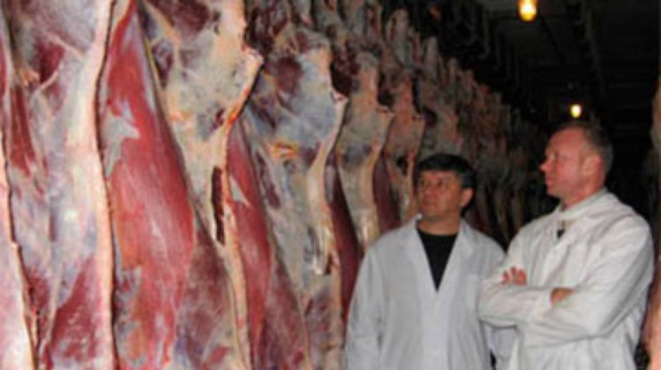 Россия может начать проверки украинских производителей мяса и рыбы