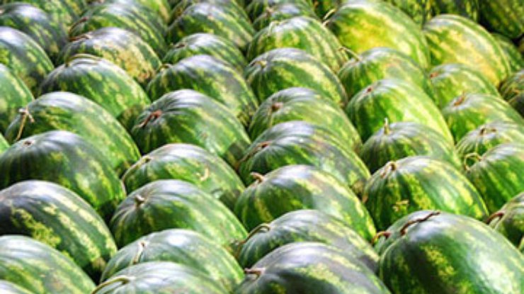 В Черкассах запретили продавать арбузы
