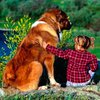 Собаки защищают детей от астмы - ученые