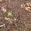 В Египте не стихают протесты против действий военных