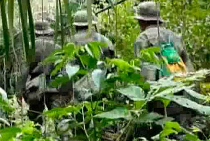 Боливийские военные воюют с плантациями коки